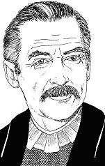 Perricum Wallgrin.JPG