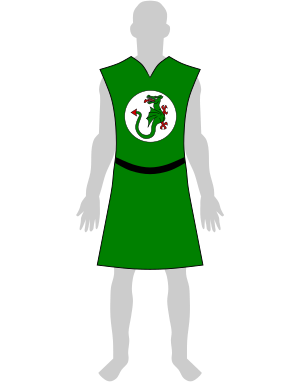 Wappenrock Baumdrachen.svg