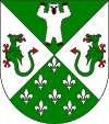 Wappen Baronie Baerenau.svg