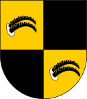 Wappen Baronie Ruchin.svg