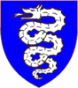 Wappen Familie Rabicum.png