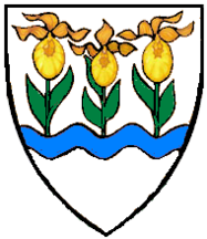 Wappen Herrschaft Feldveigeln.png