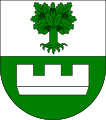 Wappen Familie Eichstein.svg