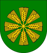 Wappen Stadt Baerenau.svg