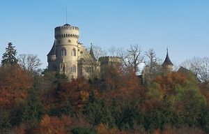 Burg Waldshut.JPG