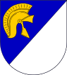 Wappen Kaiserlich Darpatwacht.svg